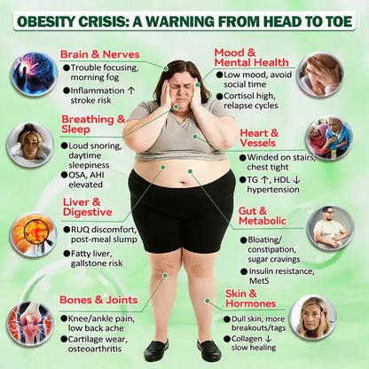 𝐎𝐟𝐟𝐢𝐜𝐢𝐚𝐥 𝐔𝐒 𝐒𝐭𝐨𝐫𝐞 🇺🇸  | 🧑‍⚕️🩺 𝐂𝐥𝐞𝐚𝐫𝐞𝐧𝐚® Moringa · Berberine × NAD+ 𝟏𝟎-𝐢𝐧-𝟏 𝐀𝐝𝐯𝐚𝐧𝐜𝐞𝐝 𝐍𝐚𝐧𝐨 𝐌𝐢𝐜𝐫𝐨𝐧𝐞𝐞𝐝𝐥𝐞 𝐏𝐚𝐭𝐜𝐡 — 𝐎𝐧𝐜𝐞 𝐃𝐚𝐢𝐥𝐲, 𝐕𝐢𝐬𝐢𝐛𝐥𝐞 𝐑𝐞𝐬𝐮𝐥𝐭𝐬 𝐢𝐧 𝟕 𝐃𝐚𝐲𝐬